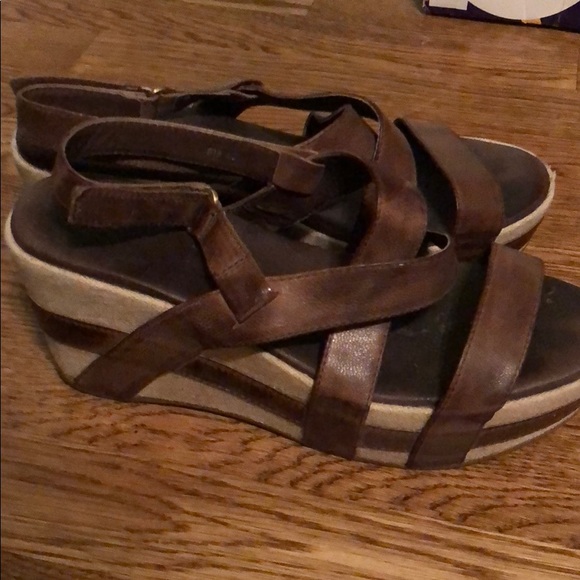 Antelope Wedges